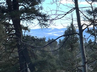 Image for 1116 El Camino Real