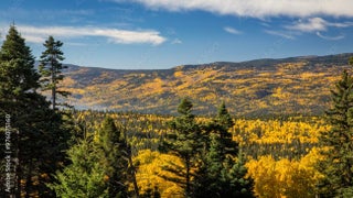 Image for 1 The Ranch at Angel Fire