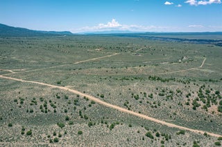 Image for TBD Spirit Dog