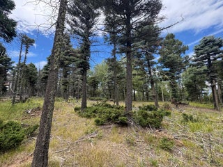 Image for Lot 310 S Vail Overlook