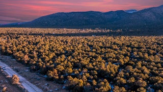 Image for 8 Echo Forest Road