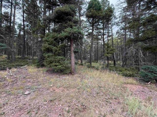Image for Lot 173 Snowbird Ln
