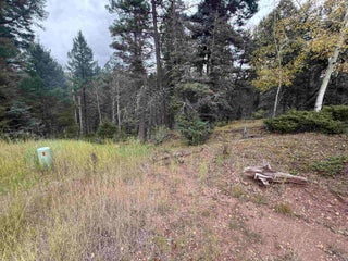 Image for Lot 256 Back Basin Rd