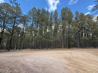 Image for Lot 7 Pine Valley Drive