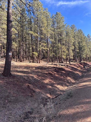 Image for Lot 88 Mammoth Mountain Rd