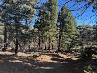 Image for Lot 173 Taos Dr