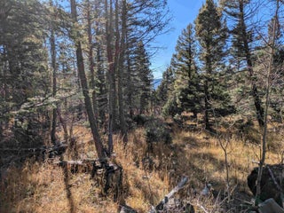 Image for Lot 1369 Skyview Way