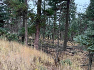 Image for Lot 181 Taos Pl