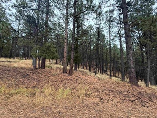 Image for Lot 187 Taos Pl