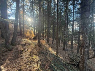 Image for Lot 72 Mammoth Mountain Rd