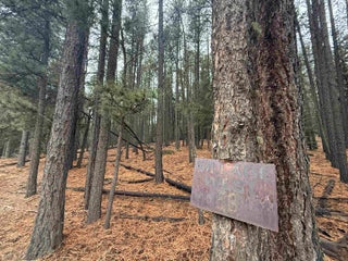 Image for Lot 53 S Valle Grande Trl