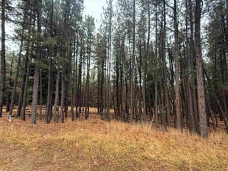 Image for Lot 75 San Juan Dr