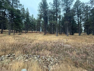 Image for Lot 1305 Sierra Blanca Dr