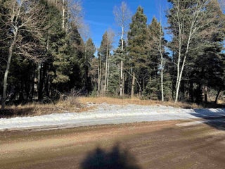 Image for Lot 363 Vail Loop